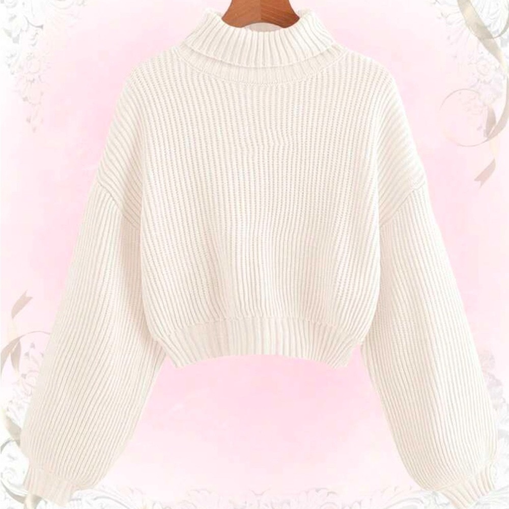 Cropped Turtleneck Sweater Medium